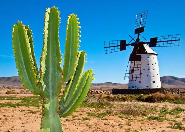 Casa Vistamar Comfy 4bd Few Steps To The Ocean Las Playas